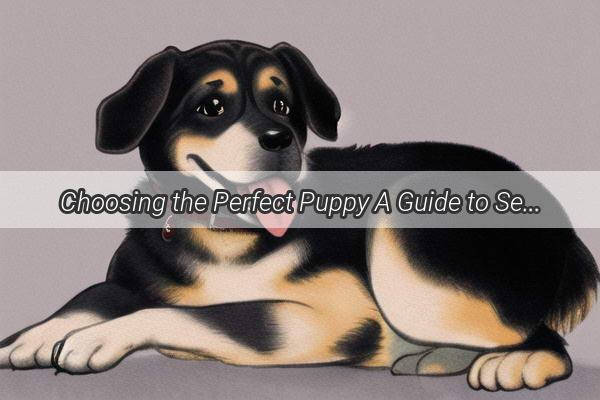 Choosing the Perfect Puppy A Guide to Selecting the Right Native Dog Breed for Your Family